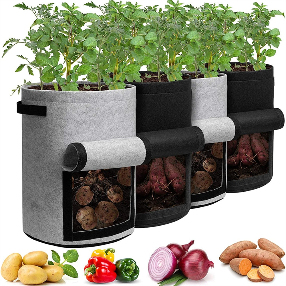 Felt 1 Piece & 3 Piece Grow Bags